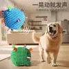 Pelota de juguete popular para perro mascota, juguete con sonido, juguete para cachorro, juguete para gato y perro, juguete para mascota, accesorios para perro mascota