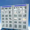Gabinete inteligente de pesaje personalizado, gabinete para cuchillos, solo gabinete de piezas, gabinete de distribución, acero, múltiples combinaciones