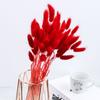 Novo Buquê de Flores Secas de Capim Rabo de Coelho Decoração para Casa Arranjo de Flores Ornamento Capim Rabo de Raposa Decoração Criativa para Casa