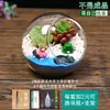 Botella de Paisaje Micro de Suculentas y Musgo de Escritorio Kit de Materiales DIY Manual para Niños Mini Maceta Plantas Verdes