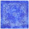 Protector Solar Ciclismo al Aire Libre Hip Hop Hip Hop Pañuelo Mágico al Por Mayor Paisley Tie Dye Flor de Anacardo bandana Cuadrado