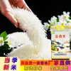 Arroz Caseiro Arroz Aromático Tailandês para Cozinhar e Mingau Arroz Novo da Estação Sacos de 2,5 kg Arroz de Panela de Barro Arroz com Ovo Arroz Frito Atacado