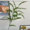 2026 Nuevo Modelo Plantas Verdes Artificiales Hierba de Espárrago Asparagus Asparaginea Decoración de Boda Flores Falsas Verdes Paisajismo Fotografía Plantas Verdes Estilo Bosque