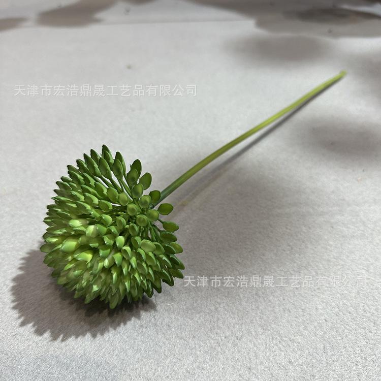 微信图片_202302241649145_副本
