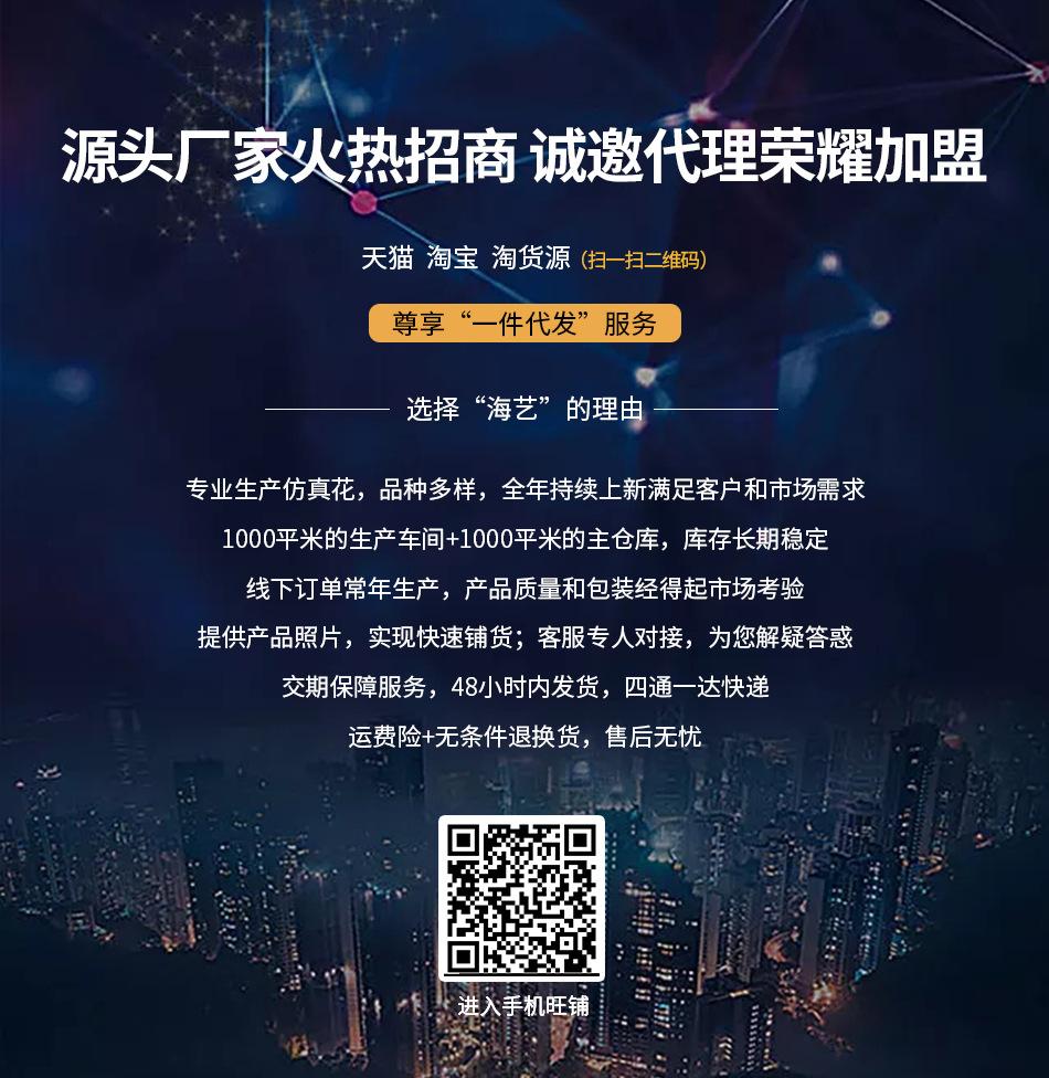 海艺招商海报