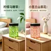 Perlas Aromáticas Habitación Sala de Estar Baño Eliminación de Olores Perlas Pequeñas Aromáticas Desodorante para Baño Ambientador Fragancia de Larga Duración