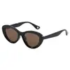 S5009 Gafas de Sol Unisex de Moda Ligeras con Montura Irregular Estilo Ojo de Gato Venta al por Mayor Marco Negro Clásico Gafas de Sol Color Té