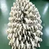 Transportador de Cadena de Tubo DN100 Cable de Acero Disco Cadena de Tubo de Polvo Pieza de Cadena Shandong Youbo Mayorista Tianjin