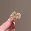 Corea del Sur Pedrería Elegante tamaño pequeño Clip para Cabello Roto Clip Lateral para Mujer Tocado Elegante Horquilla para Flequillo Accesorios para el Cabello Avanzados