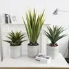 Simulação Planta Verde Bonsai Sisal Folha Grande Gladíolo Planta do Deserto Tropical Janela Paisagismo Decoração Planta Artificial Ponto