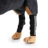 Suministro Especial Transfronterizo de Rodilleras Populares para Perros, Protectores de Patas, Equipo de Protección para Mascotas después de Cirugía con Correa Auxiliar Reflectante Funda de Entrenamiento para la Recuperación