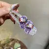 Chinelos Personalizados com Strass Brilhante Estilo Coreano Grampo de Cabelo Design de Nicho Gelatina Primavera e Verão Franja Lateral Presilha Bico de Pato Grampo de Cabelo Estilo Ocidental para Mulheres