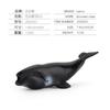 Simulação Transfronteiriça Modelo de Animal Marinho Infantil Tubarão-Baleia Mini Golfinho Tartaruga Leão-Marinho Figura Estática Sólida Ornamento