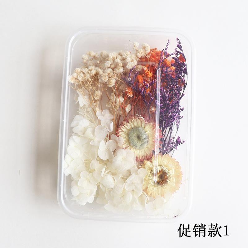 促销款1