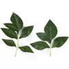 Hoja de simulación hoja de rosa hoja de peonía hoja de hortensia suministros de decoración de bodas accesorios de planta verde de simulación suministro de material