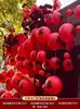 Linternas Rojas Especiales de Doble Felicidad para Bodas, Decoraciones de Cascada para Bodas, Señales de Doble Felicidad para el Arreglo de la Novia de la Sala y el Dormitorio