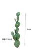 Plantas desérticas tropicales portadoras de yang plantas arenosas paisajismo cactus espantapájaros en maceta grande de pie para piso ventana verde