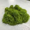 Atacado de Fábrica Tecido de Musgo de Lã Simulada de Alta Qualidade Que Não Solta Fiapos Nem Desbota, Gramado Branco Semelhante a Cabelo