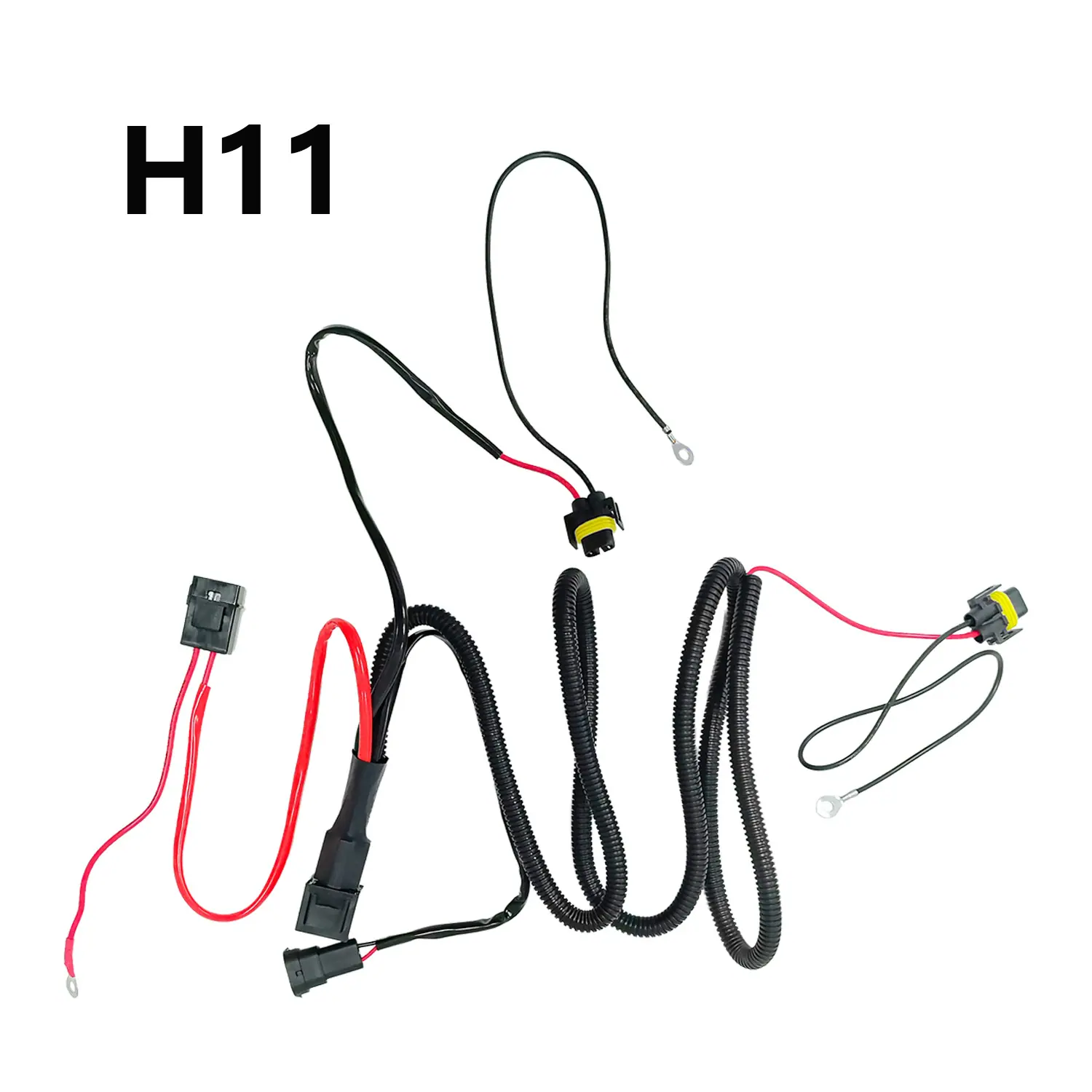 H11 (1)