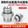 Conector Reto Redutor de Fio Duplo 1B 1B9 Aço Carbono de Alta Pressão Polegada Tubo de Óleo Reto Rosca Externa Retangular Acessórios para Conexões Hidráulicas