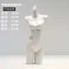 Soporte de Exhibición para Maniquí de Ropa Interior Cuerpo Entero Masculino Femenino Maniquí de Soporte para Sujetador Push Up Pantaletas Modelo Maniquí Busto