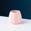 Uau, estes garfos de fruta são para uso doméstico, com um visual de alta qualidade.. Conjunto de garfos de fruta em aço inoxidável com um pote de cerâmica de armazenamento de luxo leve