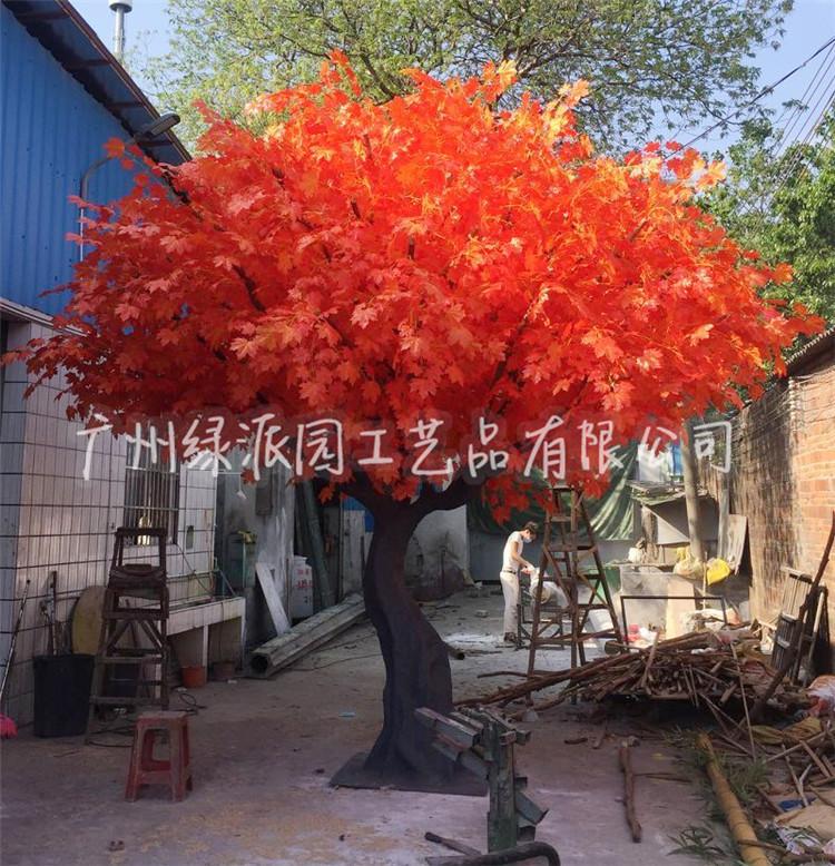 枫树红枫树绿枫117.jpg