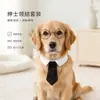 Conjunto Premium de Gravata e Óculos de Cavalheiro para Pets, Acessórios para Cães Pequenos e Gatos, Adereços Fofos para Fotos de Pets para Fotos Engraçadas