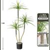 Planta Verde de Simulación Madera Milenaria Planta Falsa Lujo Ligero de Gama Alta Decoración de Interiores Árbol Sala de Estar Grande en Maceta Adornos de Piso