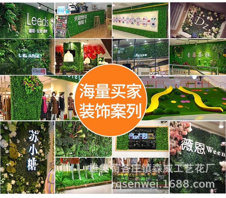 加密米兰草_02.jpg