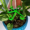 Soporte para tallos de plantas, clip de fijación para plantas, marco de soporte para plantas trepadoras, marco para recolección de tallos de flores, juego de 4 piezas