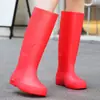 Botas de Lluvia de Moda, Engrosadas y de Terciopelo, de Caña Alta para Exteriores Cálidas para Mujer, Zapatos Impermeables para Cocina, Zapatos de Trabajo Antideslizantes para Mujer