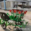 Trasplantadora de plántulas de frutas y verduras tipo montura, Trasplantadora de plántulas totalmente automática, Máquina para plantar plántulas en invernaderos de hortalizas