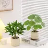 Plantas Verdes Simuladas, Pequeños Árboles de la Fortuna en Maceta, Escritorios de Oficina de Interior de Gama Alta, Mesas de Centro para Sala de Estar, Flores Artificiales y Decoraciones Florales