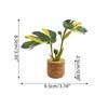 Amazon Planta Artificial Suculenta Imán de Corcho Imán de Refrigerador Decoración del Hogar Estilo Pastoral Suculenta Creativa Atracción Magnética