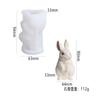 Molde de Yeso de Aromaterapia Conejo de la Suerte Estéreo DIY Pellizco Aroma Vela Adornos Decorativos Molde de Silicona Animal