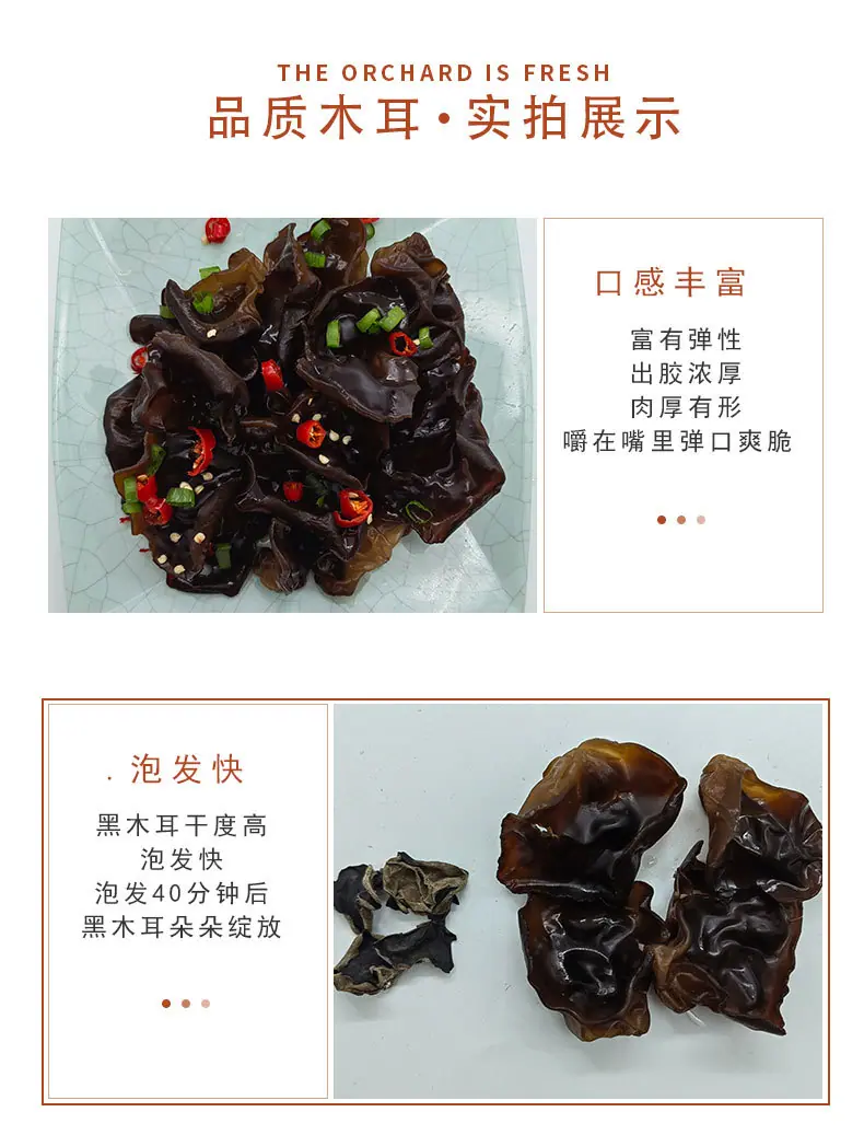 黑木耳_05.jpg