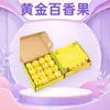Qin Mi No. 9 Maracuyá Dorado Caja de Regalo de Maracuyá Dorado Grupo de Compra de Regalos Artículos de Año Nuevo Paquete de Bienestar