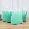 Sacola Não Tecida para Levar, Sacola Térmica para Levar (Calor e Frio), Sacola Térmica para Milk Tea com Logo Impresso, Bolsa de Mão, Personalizado