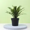 Planta artificial alga samambaia bonsai árvore dragão sangue biônica planta verde vento silencioso bonsai árvore artificial decoração de sala de estar Canadense