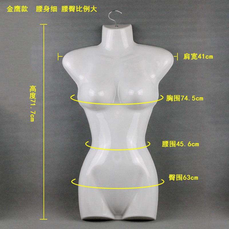 金鹰cc