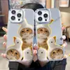 Mais Vendido no AliExpress: Capa de Celular Laranja Gato Divertido Apple 16 com Espelho, Capa de Espelho para iPhone 17, Espelho de Maquiagem para Meninas