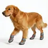Sapatos Novos para Cães de Estimação Transfronteiriços, Sapatos de Malha, Sapatos Esportivos Antiderrapantes para Exterior, Coberturas de Sapato para Proteger Patas de Cães Médios e Grandes, Respiráveis e Confortáveis