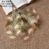 Venta de Liquidación 90% de Descuento Ramo de Cola de Pavo Real de Plástico Flores Artificiales Decoración del Hogar Boda Transfronteriza Venta al por Mayor Flores Falsas Estilo Ins Fabricante