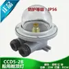 Lâmpada de Teto Incandescente de Plástico Marinho para Cabine CCD1-2A/9-5 Lâmpada de Iluminação de Passarela de Convés de Cabine Water Secret 220V60w