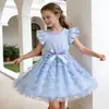 Vestido Floral de Encaje de Manga Corta Estilo Coreano para Niñas, Exportación Personalizada Verano 2026, Vestido Formal Infantil de Moda Estilo Coreano