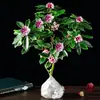 Planta en maceta de Dáfne de borde dorado, variedad fragante con capullos de flor, adecuada para balcones, espacios interiores y salas de estar; una planta con flores resistente y fácil de cultivar