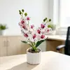 Planta de Orquídea Phalaenopsis Simulada en Maceta Doble Tallo 10 Flores Bonsái Escena de Fotografía para el Hogar Arreglo Sensación de Alta Gama Planta Verde Simulada