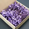 Flores Secas Gipsófila Flor Eterna Materiales Set DIY Regalos para Fiestas Decoraciones de Navidad Suministros para Bodas Accesorios Colorido