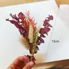 Mini ramo transfronterizo, mini ramo de flores secas, flor eterna, ramo de regalo de aromaterapia, venta al por mayor desde fabricante de Yunnan